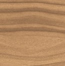 Mapes Pecan